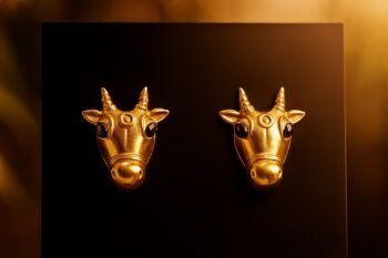 Zyra Taurus Statement Earrings